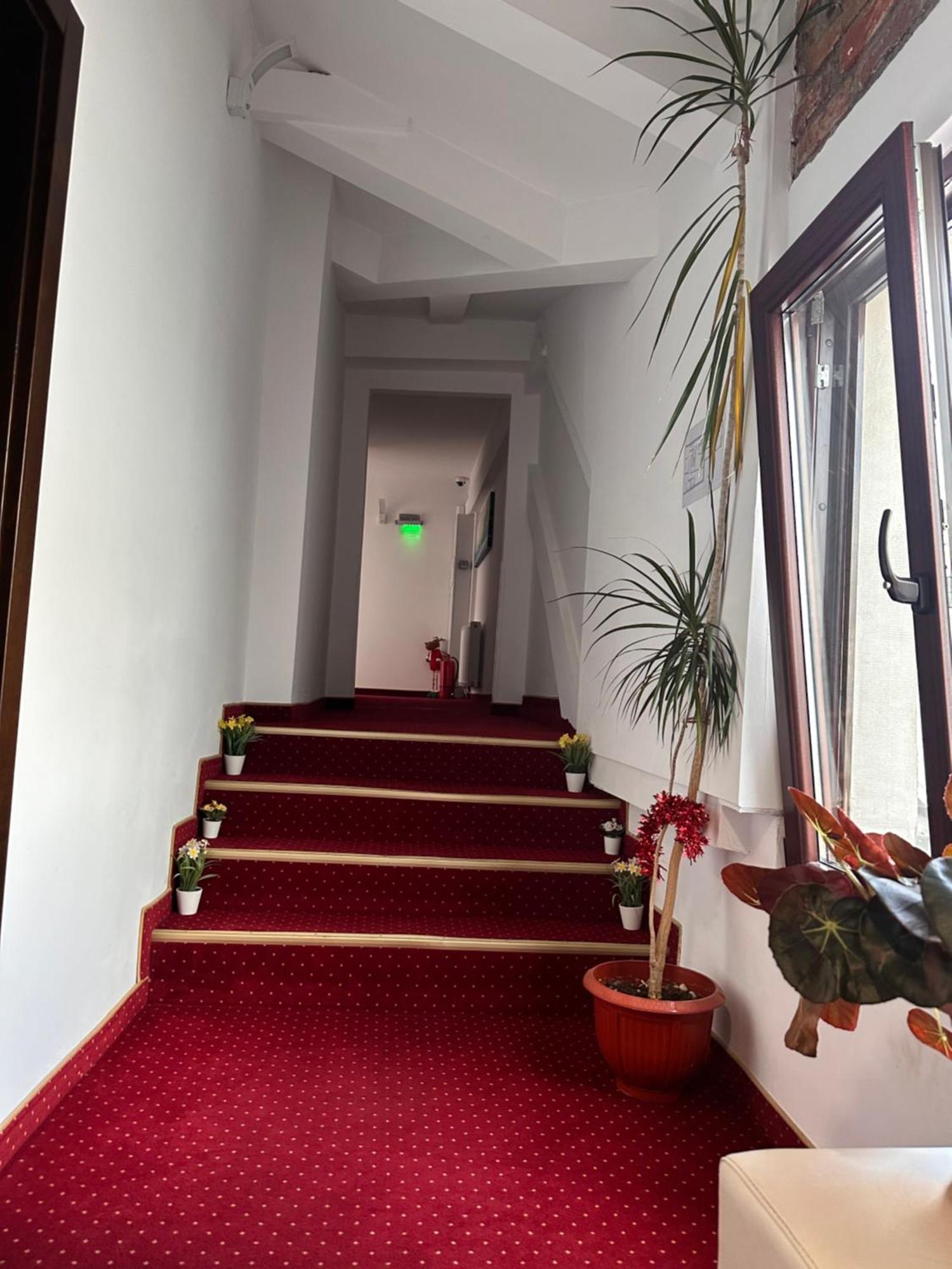Pensiunea Sada Făgăraş Екстериор снимка